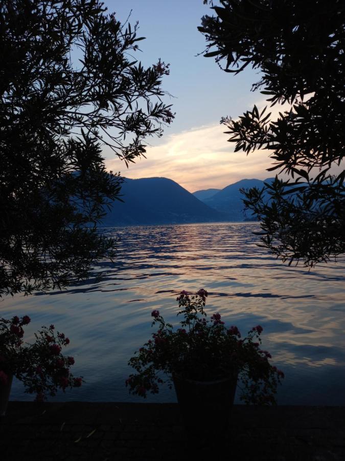 L'Oleandro Sul Lago D'Iseo B&B Sulzano Exteriör bild