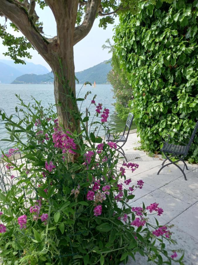 L'Oleandro Sul Lago D'Iseo B&B Sulzano Exteriör bild
