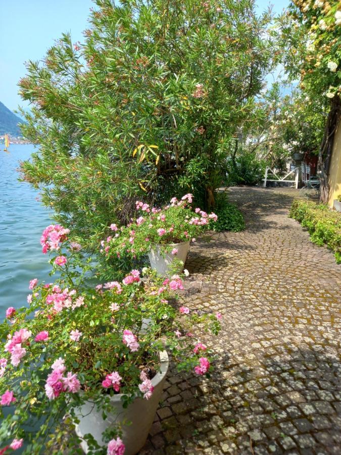 L'Oleandro Sul Lago D'Iseo B&B Sulzano Exteriör bild