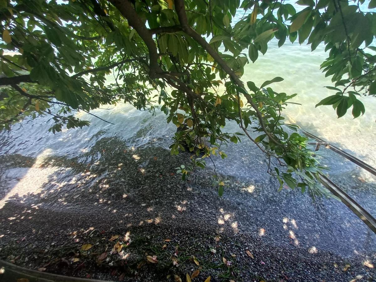 L'Oleandro Sul Lago D'Iseo B&B Sulzano Exteriör bild