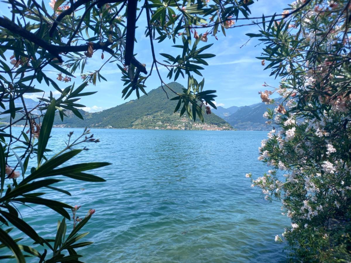 L'Oleandro Sul Lago D'Iseo B&B Sulzano Exteriör bild