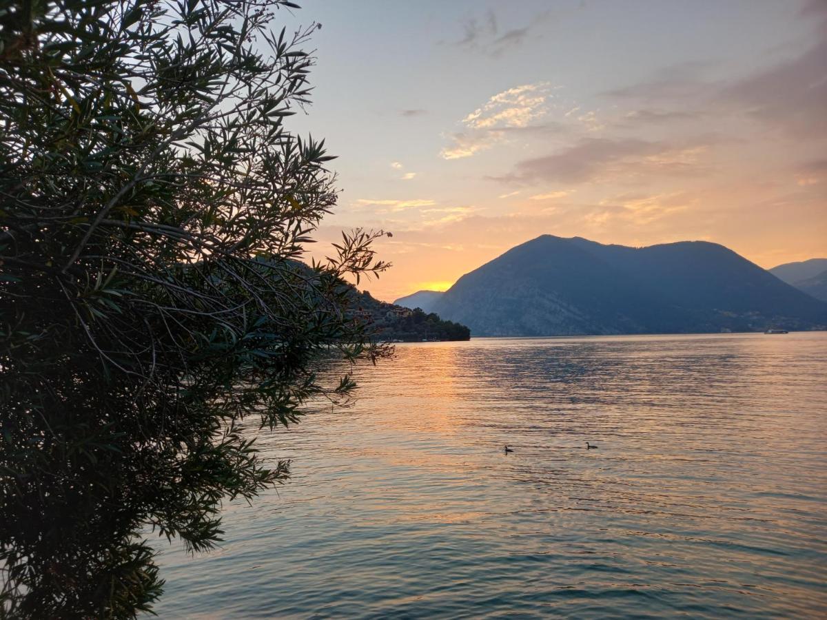 L'Oleandro Sul Lago D'Iseo B&B Sulzano Exteriör bild