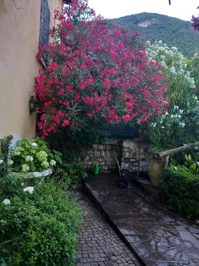 L'Oleandro Sul Lago D'Iseo B&B Sulzano Exteriör bild
